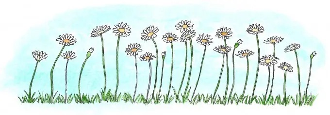 Nordic flowers