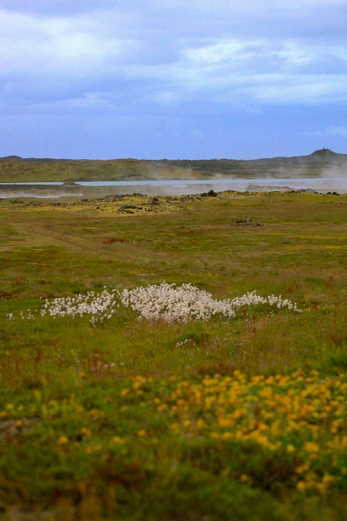 Þingvellir Nature photography