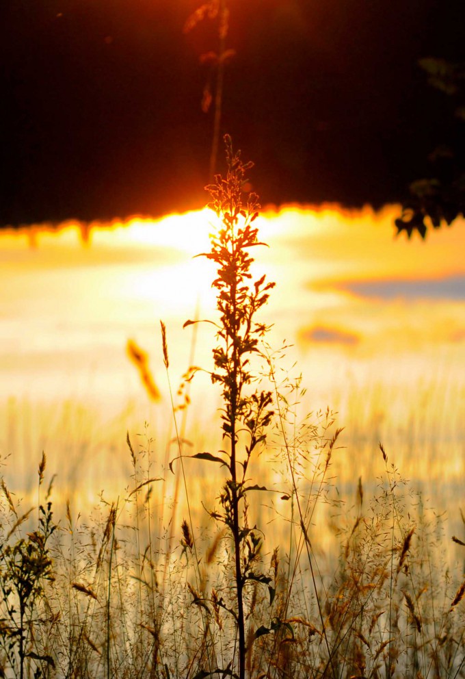 Sunset in Sweden - Spring is in the air