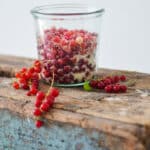 Danish sugared redcurrants