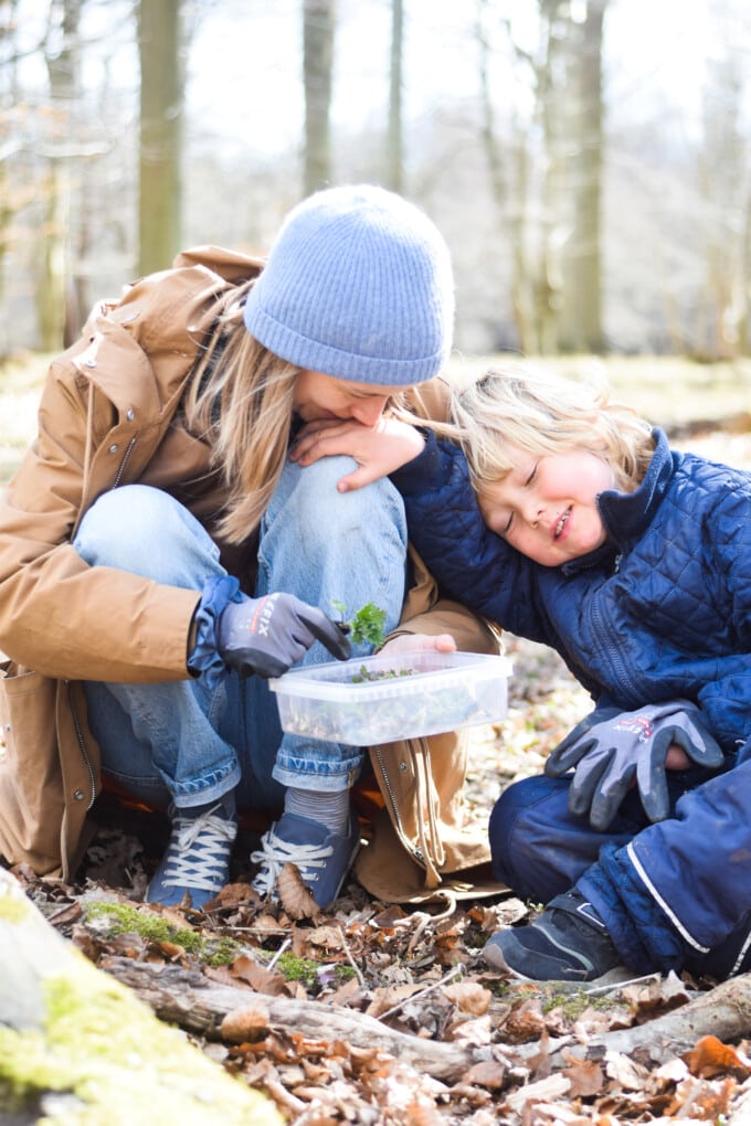 foraging with kids